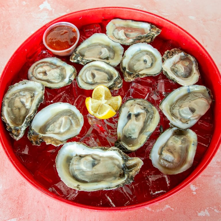 Fresh Oysters and Southern Delights